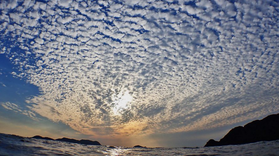 加計呂麻島シュノーケリング|泳げシマアジくん、あるいは泳がされたぷかりんごの巻。